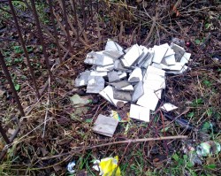   (IMG_20251125_142336_647.jpg, 390.77 Kb, 23 )