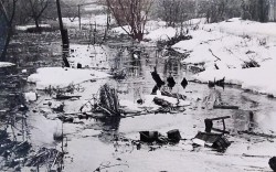 ������������� ���� (IMG_20260408_102835~2.jpg, 223.66 Kb, 26 ����������)