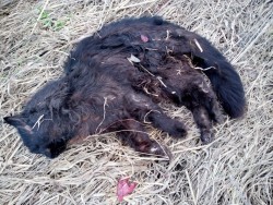 ������������� ���� (IMG_20260413_182106_464.jpg, 319.4 Kb, 7 ����������)