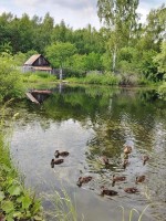 ������������� ���� (IMG_20260617_151000.jpg, 336.95 Kb, 12 ����������)