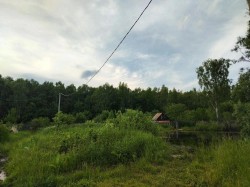 ������������� ���� (IMG_20260617_151022.jpg, 191.13 Kb, 7 ����������)