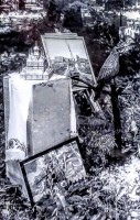 ������������� ���� (IMG_20260802_215103~2.jpg, 253.85 Kb, 20 ����������)