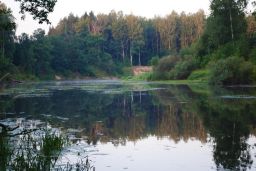   (8.jpg, 0 Bytes, 644 )