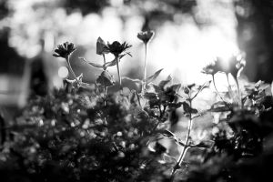   (IMG_1410.jpg, 141.01 Kb, 961 )
