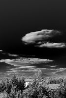   (dsc04249.jpg, 161.33 Kb, 491 )
