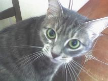  (18-05-06_0944.jpg, 34.25 Kb, 547 )