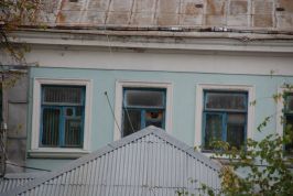   (DSC_7323.JPG, 123.95 Kb, 608 )