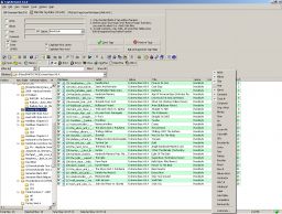   (tags.gif, 97.33 Kb, 962 )