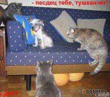   (stopme_ru_58_0_20070104_11473_5., 16.93 Kb, 696 )