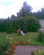   (gorshok.jpg, 0 Bytes, 501 )