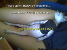  (kotomatrix_11.jpg, 51.37 Kb, 684 )