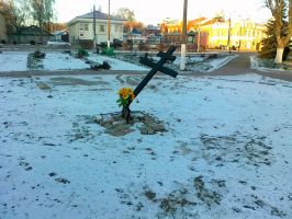   (01122010006[1].jpg, 0 Bytes, 658 )