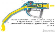   (7400083.jpg, 41.19 Kb, 889 )