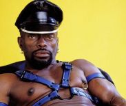   (Nigra1.jpg, 35.5 Kb, 582 )
