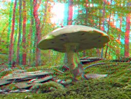   (3853719931_69f63cf619_b.jpg, 0 Bytes, 460 )