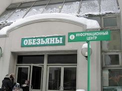   (prikol_12.jpg, 31.04 Kb, 650 )