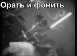   (OIF 05.gif, 2.31 Mb, 325 )