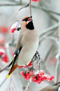   (IMG_8254.jpg, 283.45 Kb, 473 )