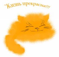   (koto.jpg, 21.74 Kb, 466 )