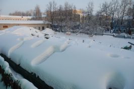   (DSC_5072.JPG, 116.54 Kb, 594 )