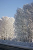   (0_443b1_6c6a3acf_XL.jpeg, 141.05 Kb, 636 )