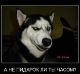   (x_4ac47e02.jpg, 33.1 Kb, 818 )