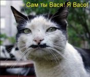   (tn.gif, 83.7 Kb, 653 )
