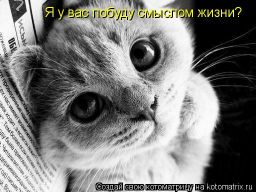   (382358.jpg, 47.93 Kb, 661 )
