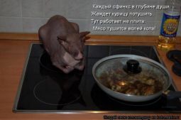   (1229112839_5.jpg, 111.3 Kb, 636 )