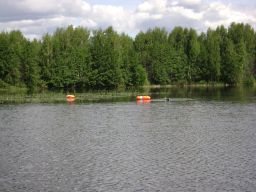   (DSC02713.JPG, 0 Bytes, 544 )