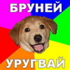   (21547698.jpeg, 14.05 Kb, 467 )