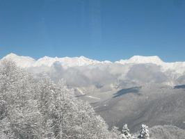   (IMG_1950.JPG, 81.03 Kb, 856 )