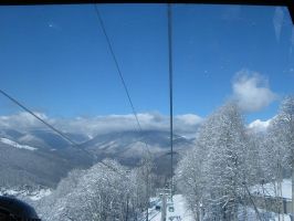   (IMG_1906.JPG, 82.27 Kb, 813 )