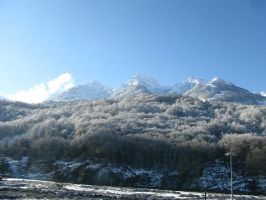   (IMG_1728.JPG, 78.8 Kb, 839 )