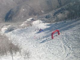   (IMG_1958.JPG, 124.61 Kb, 795 )