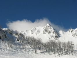   (IMG_1963.JPG, 83.9 Kb, 839 )