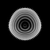   (1287996935_1287929832_ur3coquf21fxl67p.gif, 428.03 Kb, 128 )