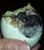   (1287698175_would_you_eat_640_09.jpg, 34.84 Kb, 472 )