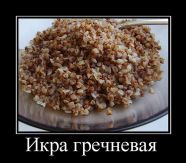   (111.jpg, 51.38 Kb, 479 )