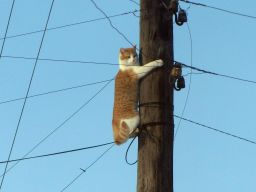   (2.jpg, 0 Bytes, 897 )