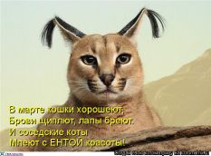   (0lDRFr8k.jpg, 62.49 Kb, 494 )