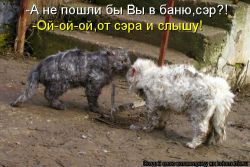   (zd3QfNvd.jpg, 79.45 Kb, 657 )