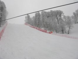   (IMG_1701.JPG, 0 Bytes, 782 )