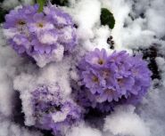  (361955_58.jpg, 146.17 Kb, 688 )