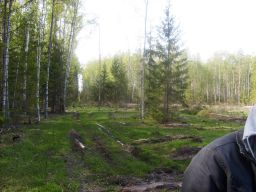   (S6300877.JPG, 0 Bytes, 541 )