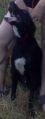   (IMG20100802_017.jpg, 8.97 Kb, 1170 )