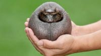   (400-225.jpg, 19.94 Kb, 867 )