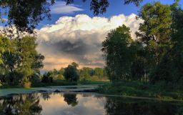   (17a9190b45f3[1].jpg, 0 Bytes, 754 )