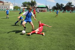   (IMG_4683.JPG, 0 Bytes, 566 )