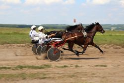   (IMG_4890.JPG, 0 Bytes, 1076 )